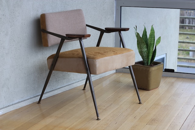 brown fabric padded armchair beside green snake plant