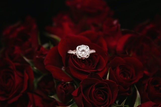 engagement ring in roses