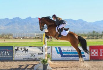 Maximizing Performance: Why Use horse jump accessories for Training