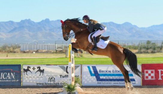 Maximizing Performance: Why Use horse jump accessories for Training